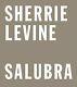Sherrie Levine Salubra Hardcover Brand New